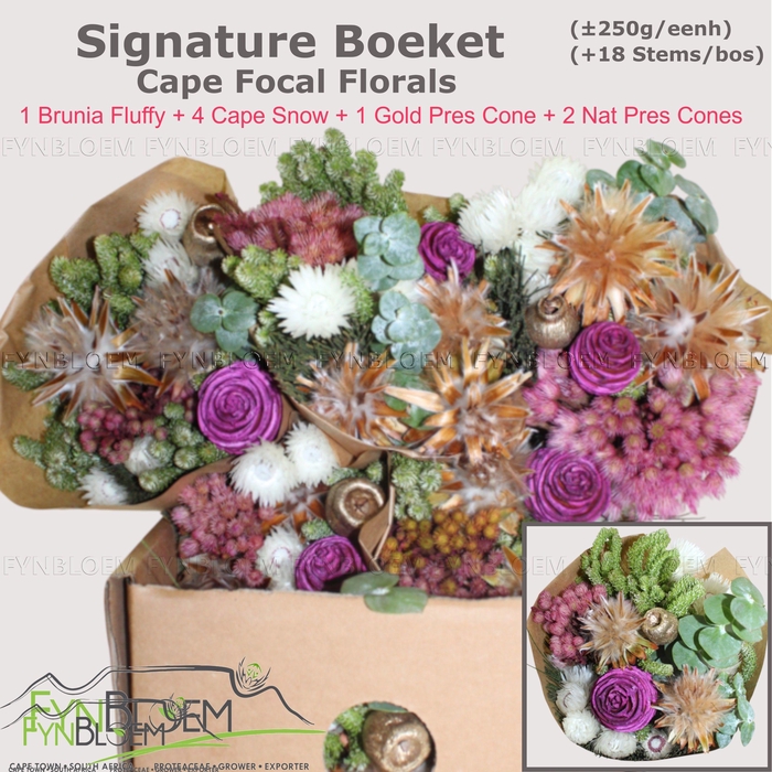 <h4>KAAPS GROE GEM IN BS</h4>