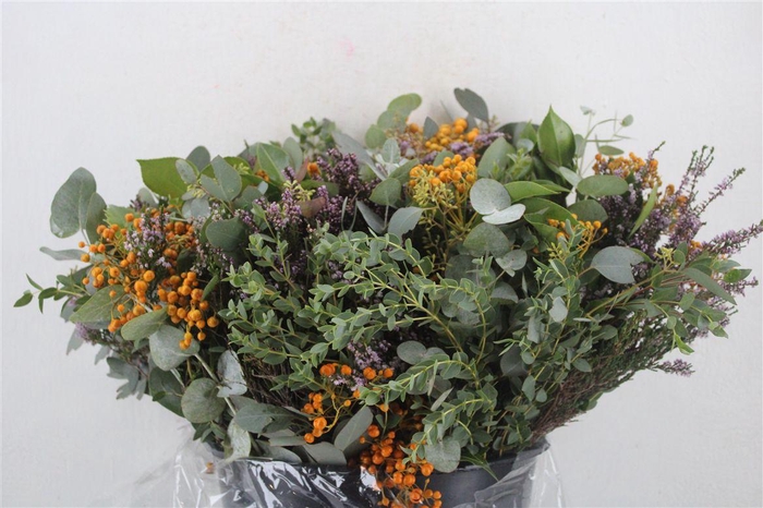 <h4>Bouquet Italie Mixed Berry P Bunch</h4>