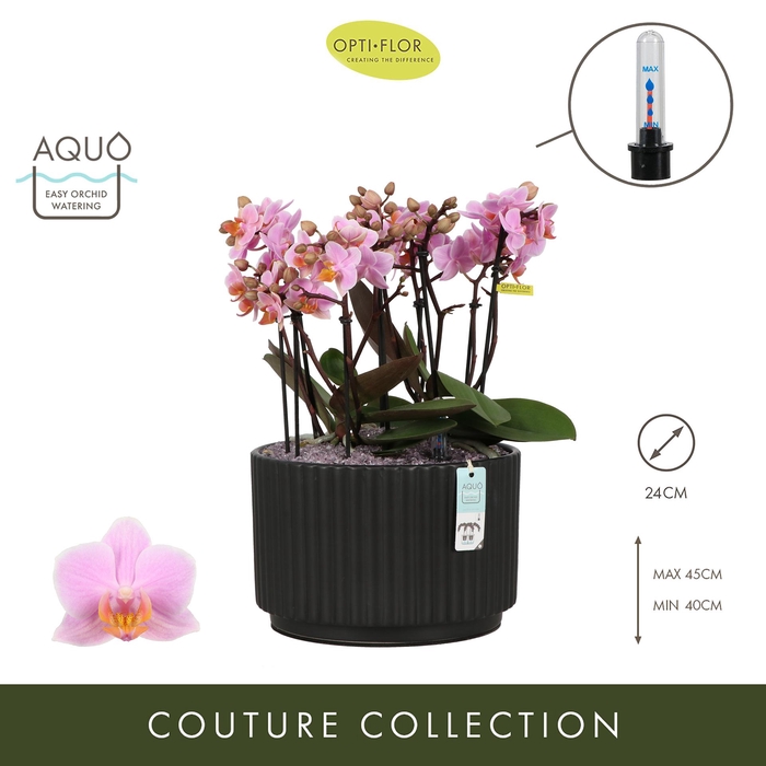 <h4>Arran. Boquetto Romantico Molise Dark Brown Aquo</h4>
