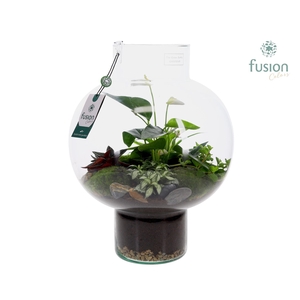 Green Bottle Laura Large met Anthurium arrangement