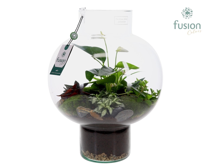 <h4>Green Bottle Laura Large met Anthurium arrangement</h4>