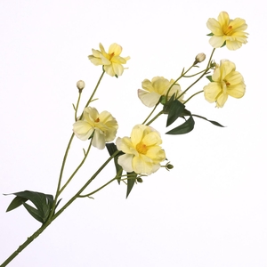 Ranunculus Butterfly Spray Yellow FL440264YEL