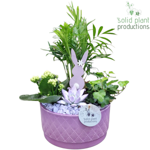 CE003 Loes Lila Easter