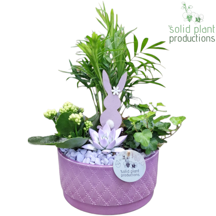 <h4>CE003 Loes Lila Easter</h4>