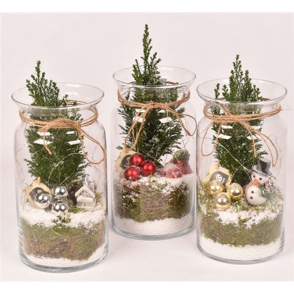<h4>Arrangementen kamerplanten 6%</h4>