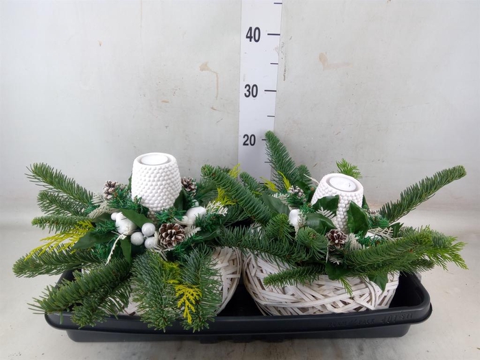 <h4>Arr. Kerst H%</h4>