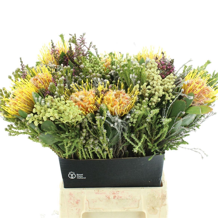 <h4>Kaaps Bouquet Veldfire 2 Pin</h4>