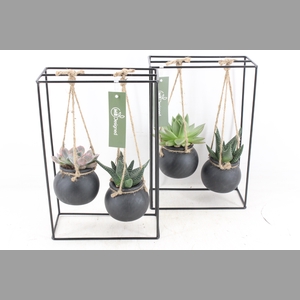 arr2 MB - Ijzer rek 2glas black bol