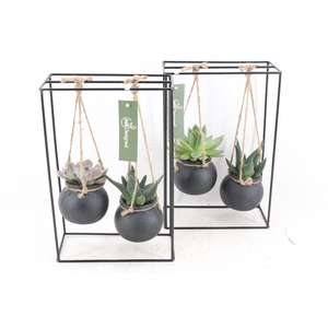 arr2 MB - Ijzer rek 2glas black bol