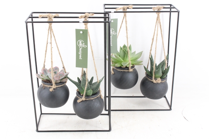 arr2 MB - Ijzer rek 2glas black bol
