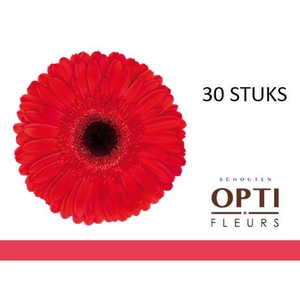 GE GR DYNAMIC-Doosx30