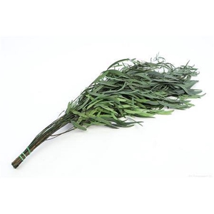 Bunch Euca Nicoly Pres. 150g L65