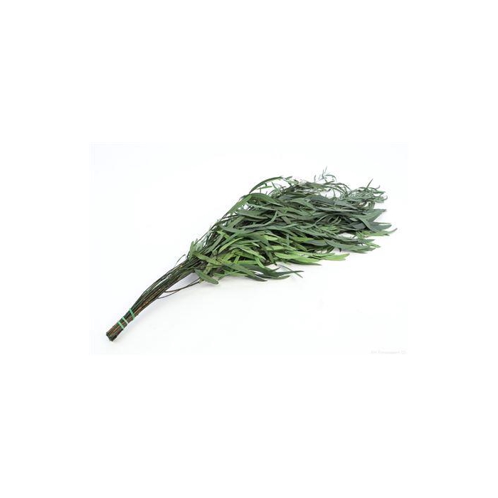 <h4>Bunch Euca Nicoly Pres. 150g L65</h4>