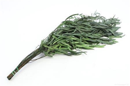 Bunch Euca Nicoly Pres. 150g L65