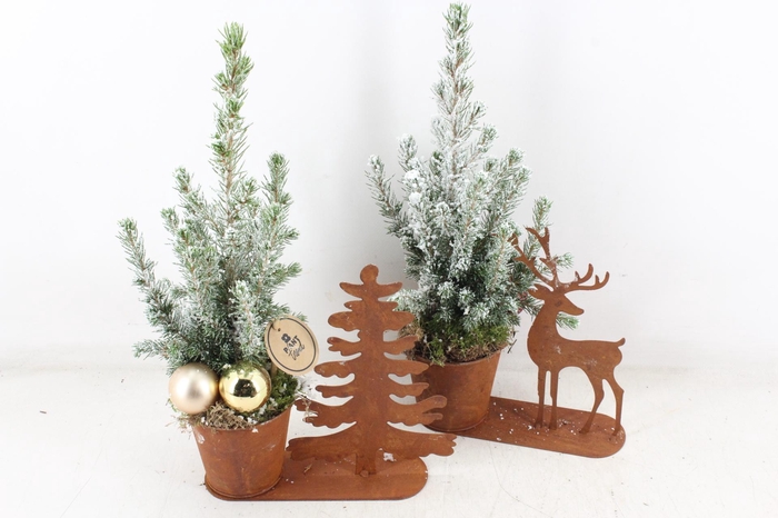 <h4>arr2 PL - Roest standaart kerstfiguren mix x8</h4>
