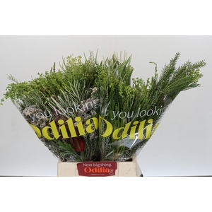 BQ Cape Greenmix