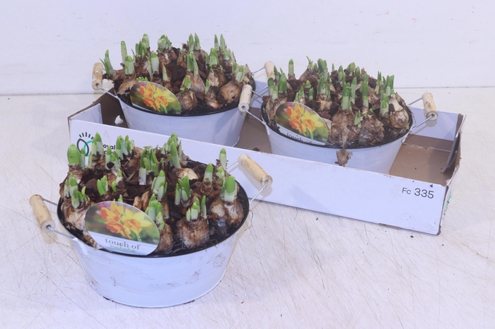 <h4>ARR N TETE A TETE</h4>