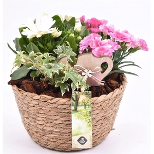 Touwmand naturel 18cm