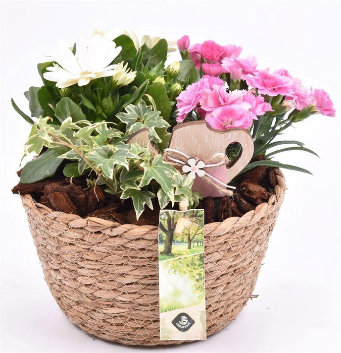 <h4>Touwmand naturel 18cm</h4>