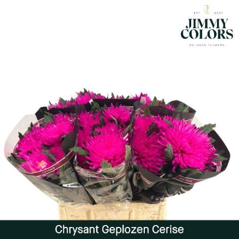 <h4>Chr G Topspin Cerise</h4>
