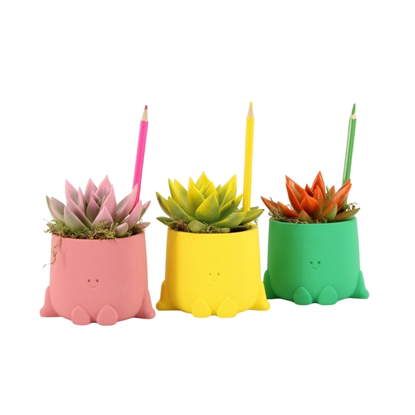 Arrangementen kamerplanten 6%