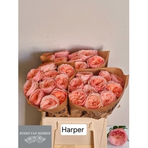 R GR HARPER