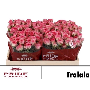 R TR TRALALA