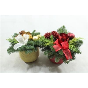 559 Goud/rood Ker Ribbel