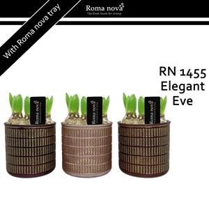 1455 - Elegant Eve ES12 (Hyacint)