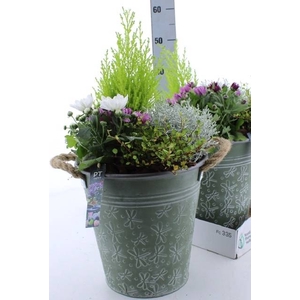 ARR TUINPLANTEN