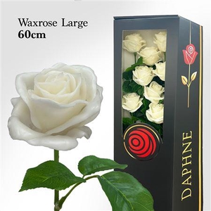 Wax Rose L White 60cm