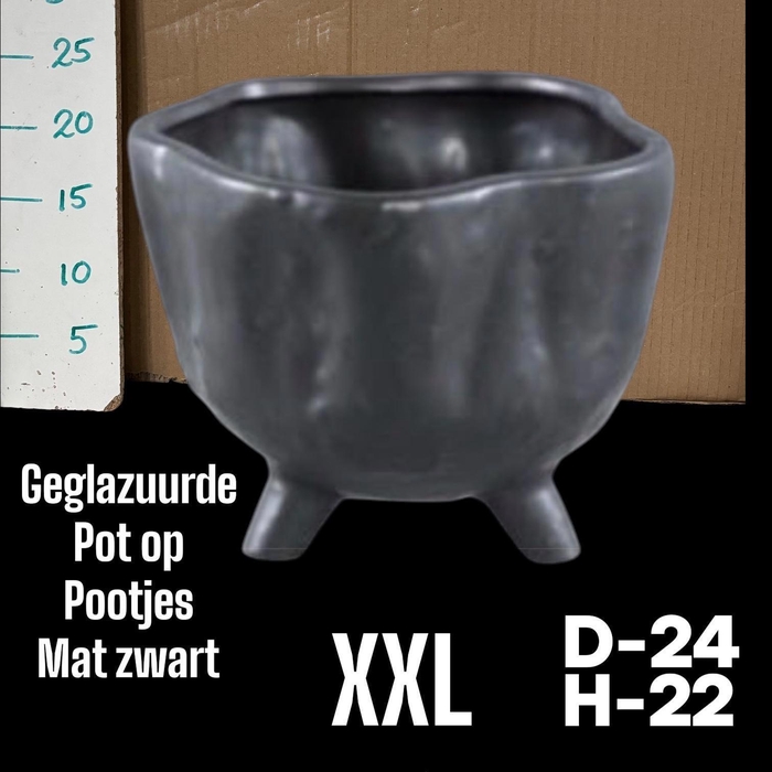 <h4>POT H%</h4>