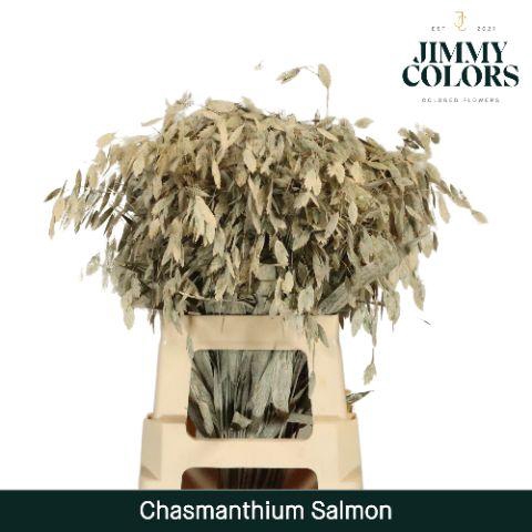 <h4>Chasmanthium L70 Salmon</h4>
