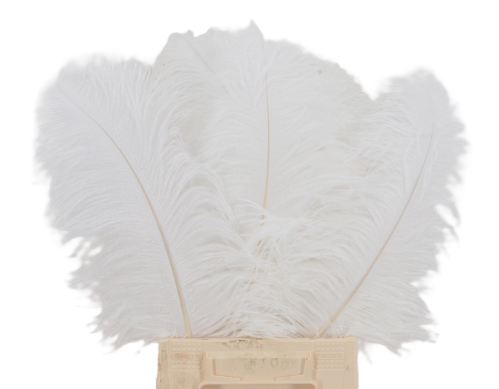 <h4>HUIS EN TUINDECO H%</h4>