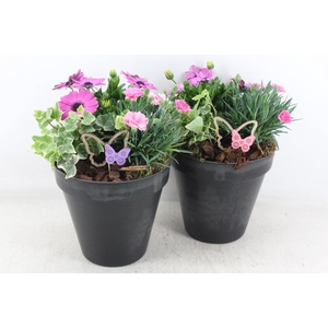 arr4 Outdoor MB - Kunststof bloempot black