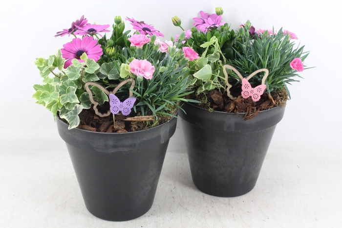 <h4>arr4 Outdoor MB - Kunststof bloempot black</h4>