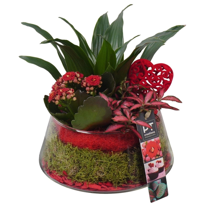 <h4>4939 Rood Ufo Glas</h4>