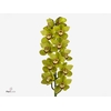 Cymb T Quinty 60 Cm