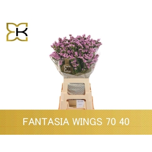 LIM S FANTASIA WINGS