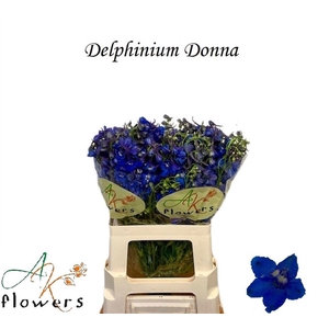 DELPH EN DONNA