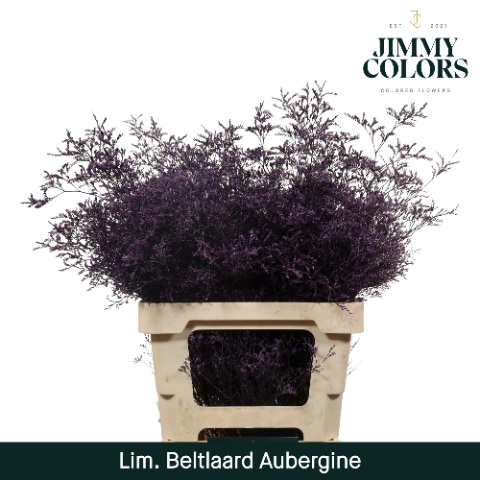 <h4>Lim Bel L70 Aubergine</h4>