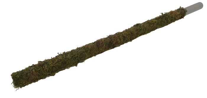 Tube 30mm with green moss 80cm p pc natural