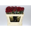Rosa Gr Red Naomi Marjo