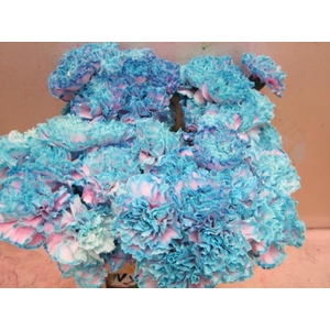 Di St G Bubblegum