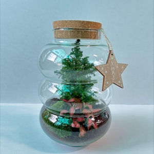 Wardians Terrarium - Pluto Medium Christmass edition