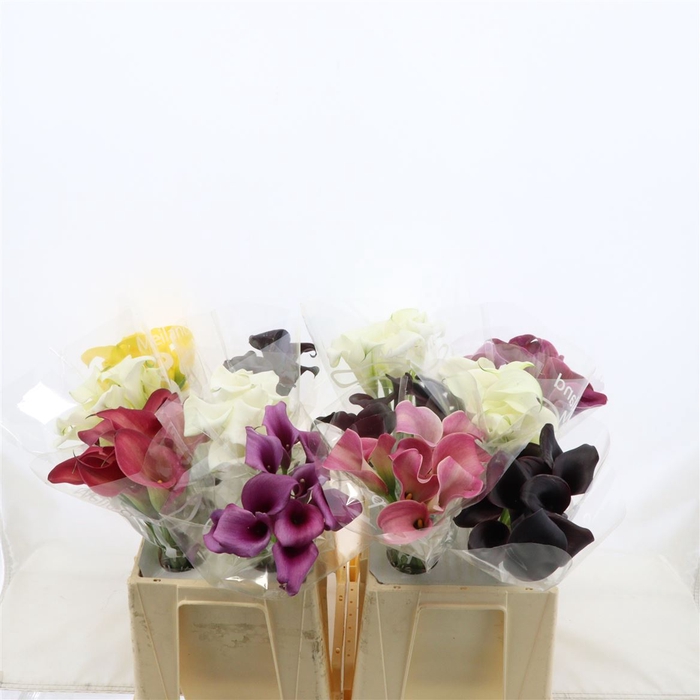 <h4>Calla Gemengd In Fust</h4>