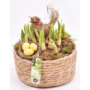 Touwmand laag 19,5cm