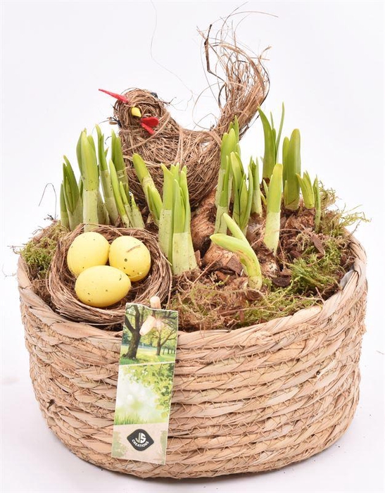 <h4>Touwmand laag 19,5cm</h4>