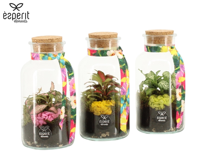 <h4>31793: Reinvention terrarium</h4>