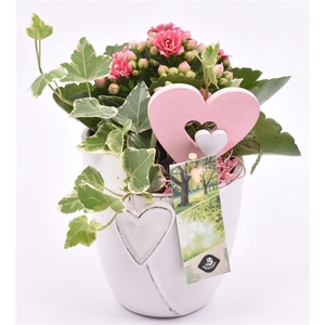 Keramiek pot met hart 10CM